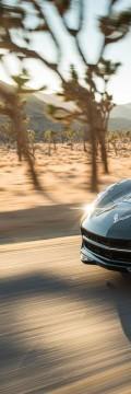 CHEVROLET Corvette Cabriolet (C7)  Technické sharakteristiky
